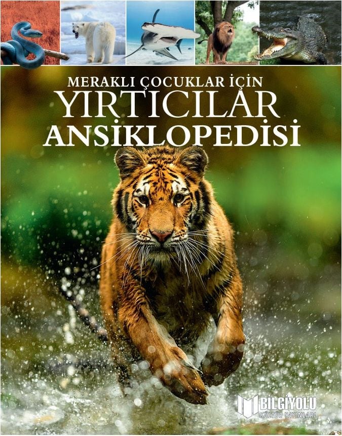 Meraklı Çocuklar İçin Yırtıcılar Ansiklopedisi