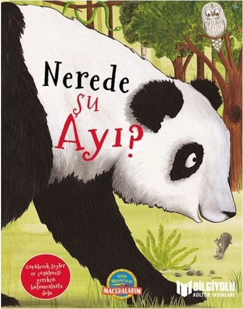 Nerede Şu Ayı?