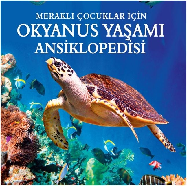 Meraklı Çocuklar İçin Okyanus Yaşamı Ansiklopedisi