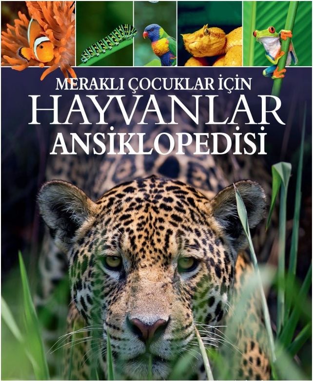 Meraklı Çocuklar İçin Hayvanlar Ansiklopedisi